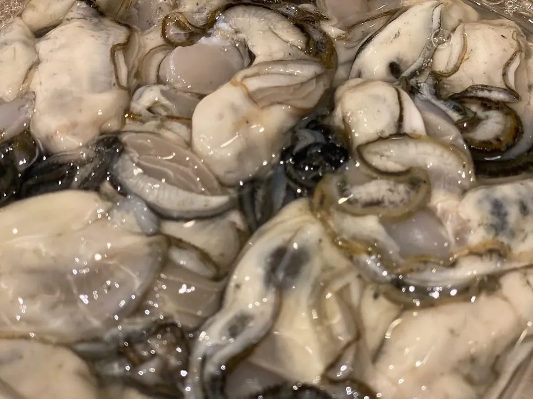 ご家庭でも役立つ『牡蠣』の知識⁉️ ｜ 西宮市の海鮮処ととまつ